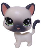 No # Siamese Cat "Cozy Corner"